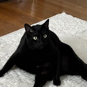 Meet your Posher, Easa